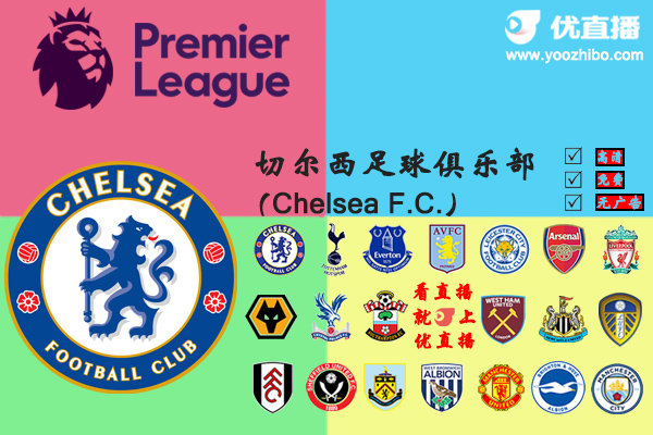 2020-21赛季<a href=/football/chelsea/ target=_blank class=infotextkey>切尔西</a>阵容名单一览