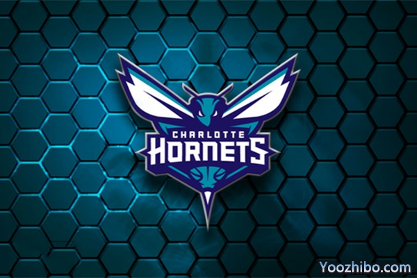 <a href=/basketball/hornets/ target=_blank class=infotextkey>黄蜂</a>队